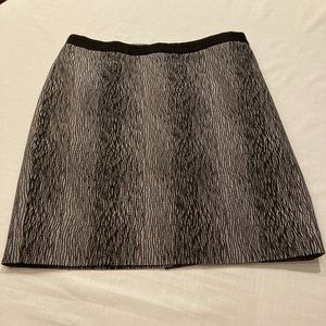 Ann Taylor Skirt